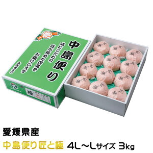 Ε ݂ g܂ǂ ւ Ƌ 4L`LTCY 3kg 8`15 QY JAЂߒ Iʏ ~J  Mtg 