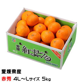 みかん 紅まどんな 赤秀 4L〜Lサイズ 5kg 愛媛県産 JAえひめ中央 中島選果場 ミカン 蜜柑 ギフト お取り寄せ