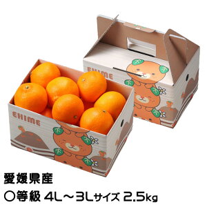 Ε ݂ g܂ǂ Z 4L`3LTCY 2.5kg ݂񔠓 QY JAЂߒ Iʏ ~J  Mtg 