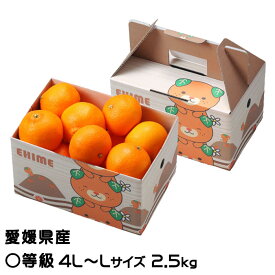 みかん 紅まどんな 〇等級 4L〜Lサイズ 2.5kg みきゃん箱入 愛媛県産 JAえひめ中央 中島選果場 ミカン 蜜柑 ギフト お取り寄せ