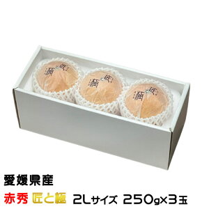 Ε ݂ g܂ǂ ԏG Ƌ 2LTCY 250g×3 QY JAЂߒ Iʏ ~J  Mtg 