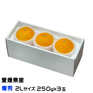 Ε ݂ g܂ǂ G 2LTCY 250g×3 QY JAЂߒ Iʏ ~J  Mtg 