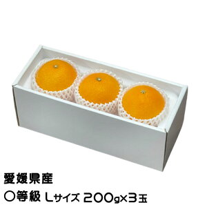 Ε ݂ g܂ǂ Z LTCY 200g×3 QY JAЂߒ Iʏ ~J  Mtg 