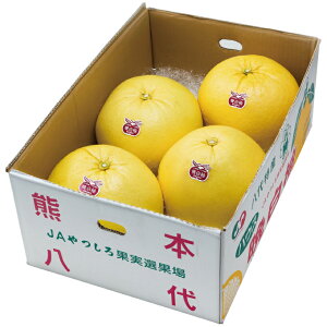 みかん 10kgの人気商品 通販 価格比較 価格 Com