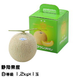 メロン クラウンメロン 白等級 1.2kg×1玉 静岡県産 めろん ギフト お取り寄せグルメ