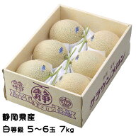 メロン クラウンメロン 白等級 5〜6玉 7kg 静岡県産 めろん ギフト お取り寄せグルメ