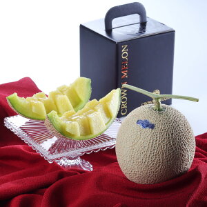  NE ubN R 1.2kg×1 ÉY ߂ Mtg 񂹃O