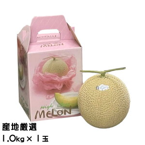  A[X 1.0kg×1 YnI Mtg