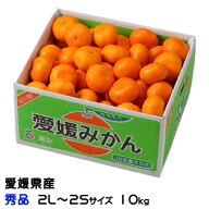 みかん 愛媛みかん 秀品 2L〜2Sサイズ 10kg 愛媛県産 ミカン 蜜柑 ギフト