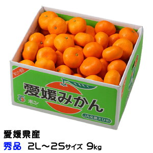 Ε ݂ Q݂ Gi 2L`2STCY 9kg QY ~J  Mtg