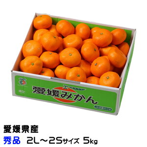 みかん 愛媛みかん 秀品 2L〜2Sサイズ 5kg 愛媛県産 ミカン 蜜柑 ギフト