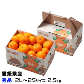 みかん 愛媛みかん 秀品 2L〜2Sサイズ 2.5kg みきゃん箱入り 愛媛県産 ミカン 蜜柑 ギフト