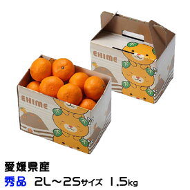 みかん 愛媛みかん 秀品 2L〜2Sサイズ 1.5kg みきゃん箱入り 愛媛県産 ミカン 蜜柑 ギフト