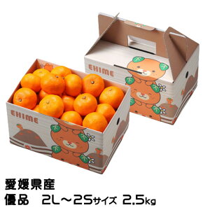 Ε ݂ Q݂ Di 2L`2STCY 2.5kg ݂񔠓 QY ~J  Mtg