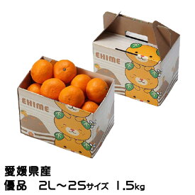 みかん 愛媛みかん 優品 2L〜2Sサイズ 1.5kg みきゃん箱入り 愛媛県産 ミカン 蜜柑 ギフト