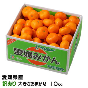 ݂ Q݂ 󂠂 傫܂ 10kg QY ~J  Mtg