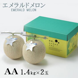 メロン エメラルドメロン AA等級 1.4kg×2玉 高知県産 夜須 めろん お取り寄せグルメ ギフト お取り寄せ