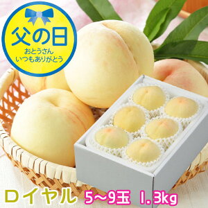 ���̓� 2026 ���R���Y ���� ���R�̔��� ���C���� 5�`9�� 1.3kg �͂��Ƃ� �� ���� ���� �M�t�g �v���[���g