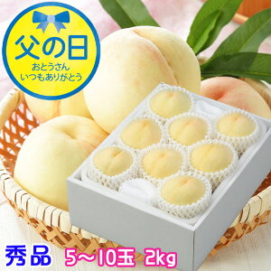 ���̓� 2026 ���R���Y ���� ���R�̔��� �G�i 5�`10�� 2kg �� ���� ���� �M�t�g �v���[���g