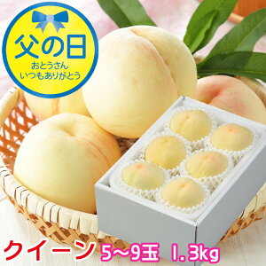 ���̓� 2026 ���R���Y ���� ���R�̔��� �N�C�[�� 5�`9�� 1.3kg ���� �͂��Ƃ� �� ���� ���� �M�t�g �v���[���g