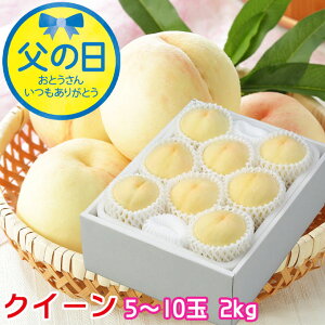 ���̓� 2026 ���R���Y ���� ���R�̔��� �N�C�[�� 5�`10�� 2kg �͂��Ƃ� �� ���� ���� �M�t�g �v���[���g