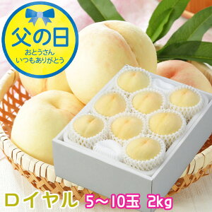 ���̓� 2026 ���R���Y ���� ���R�̔��� ���C���� 5�`10�� 2kg �� ���� ���� �M�t�g �v���[���g