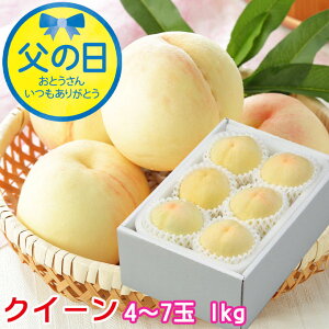 ���̓� 2026 ���R���Y ���� ���R�̔��� �N�C�[�� 4�`7�� 1kg ���� �͂��Ƃ� �� ���� ���� �M�t�g �v���[���g