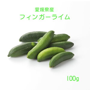 国産 フルーツ キャビア フィンガーライム 秀品 緑 100g 愛媛県産
