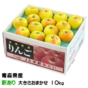  ܖ 󂠂 ̂ 傫܂ 10kg XY ь S Mtg