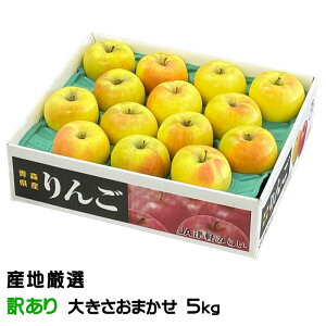 Ε  ܖ YnI 󂠂 ̂ 傫܂ 5kg ь S Mtg