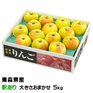  ܖ 󂠂 ̂ 傫܂ 5kg XY ь S Mtg