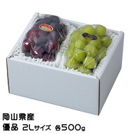 お中元 ぶどう 詰め合わせ 優品 2Lサイズ ニューピオーネ 500g×1房 シャインマスカット晴王 500g×1房 …