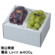 お中元 ぶどう 詰め合わせ 優品 Lサイズ ニューピオーネ 400g×1房 シャインマスカット晴王 400g×1房 岡…