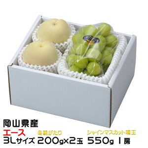 Ε  Ԃǂ lߍ킹 G[X 3LTCY ~ 200g×2 VC}XJbg 550g×1[ RY Zbg v[g