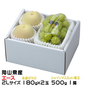 Ε  Ԃǂ lߍ킹 G[X 2LTCY ~ 180g×2 VC}XJbg 500g×1[ RY Zbg v[g