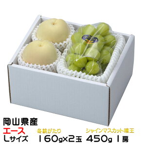 Ε  Ԃǂ lߍ킹 G[X LTCY ~ 160g×2 VC}XJbg 450g×1[ RY Zbg v[g