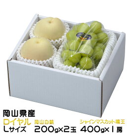 お中元 桃 ぶどう 詰め合わせ ロイヤル Lサイズ 岡山白桃 200g×2玉 シャインマスカット晴王 400g×1房 岡山県産 セット プレゼント