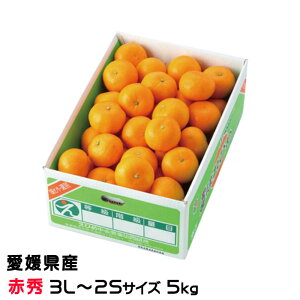 Ε ݂ ͂Ђ ԏG 3L`2STCY 5kg QY JAЂߒ Iʏ ~J 