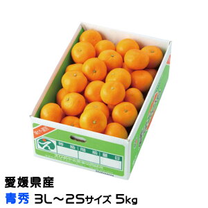 Ε ݂ ͂Ђ G 3L`2STCY 5kg QY JAЂߒ Iʏ ~J 