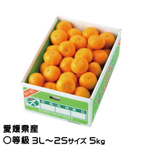 Ε ݂ ͂Ђ Z 3L`2STCY 5kg QY JAЂߒ Iʏ ~J 