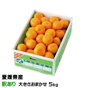 Ε ݂ ͂Ђ 󂠂 傫܂ 5kg QY JAЂߒ Iʏ ~J 