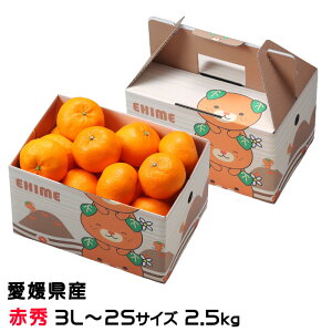 Ε ݂ ͂Ђ ԏG 3L`2STCY 2.5kg ݂񔠓 QY JAЂߒ Iʏ ~J 