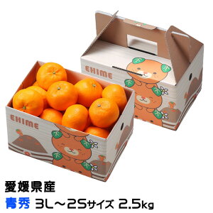 Ε ݂ ͂Ђ G 3L`2STCY 2.5kg ݂񔠓 QY JAЂߒ Iʏ ~J 