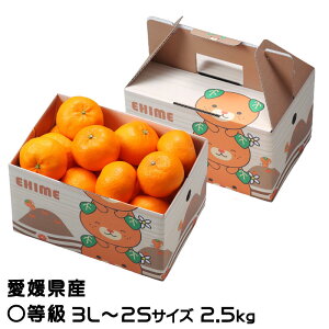 Ε ݂ ͂Ђ Z 3L`2STCY 2.5kg ݂񔠓 QY JAЂߒ Iʏ ~J 