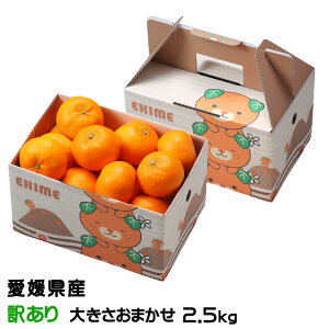 Ε ݂ ͂Ђ 󂠂 傫܂ 2.5kg ݂񔠓 QY JAЂߒ Iʏ ~J 