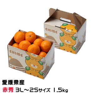 Ε ݂ ͂Ђ ԏG 3L`2STCY 1.5kg ݂񔠓 QY JAЂߒ Iʏ ~J 