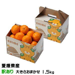 Ε ݂ ͂Ђ 󂠂 傫܂ 1.5kg ݂񔠓 QY JAЂߒ Iʏ ~J 