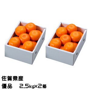�݂��� �͂܂��� 2.5kg×2�� �D�i 12�`15�� ���ꌧ�Y JA����� �M�t�g