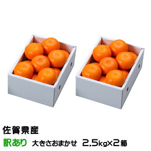 �݂��� �͂܂��� 2.5kg×2�� ���̂������� ������Ɩ󂠂� �傫�����܂��� ���ꌧ�Y JA����� �M�t�g