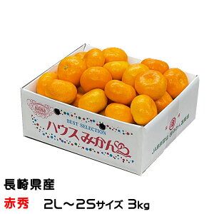 ݂ Z nEX݂ ԏG 2L`2STCY 3kg 茧Y JA_ }i  ~J